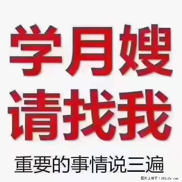 为什么要学习月嫂，育婴师？ - 其他广告 - 广告专区 - 通辽分类信息 - 通辽28生活网 tongliao.28life.net