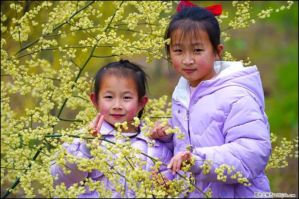 【春天，广西桂林灌阳县向您发出邀请！】米珠山前有片山苍子花在飘香 - 游山玩水 - 通辽生活社区 - 通辽28生活网 tongliao.28life.net