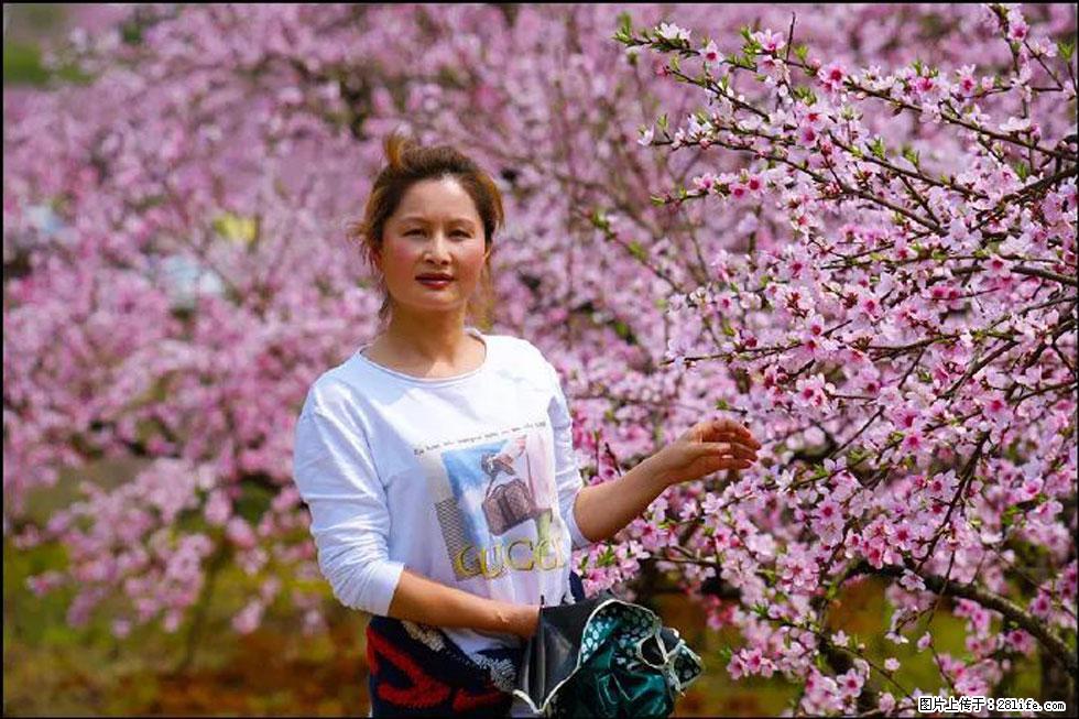 【春天，广西桂林灌阳县向您发出邀请！】官庄村有个醉美的桃花园 - 游山玩水 - 通辽生活社区 - 通辽28生活网 tongliao.28life.net