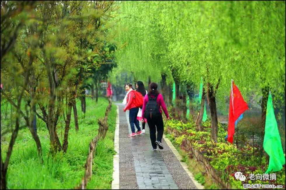 【春天，广西桂林灌阳县向您发出邀请！】江口老街又逢春 - 游山玩水 - 通辽生活社区 - 通辽28生活网 tongliao.28life.net