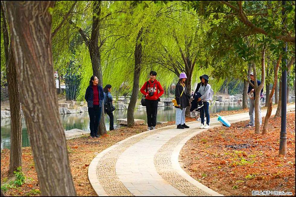 【春天，广西桂林灌阳县向您发出邀请！】江口老街又逢春 - 游山玩水 - 通辽生活社区 - 通辽28生活网 tongliao.28life.net