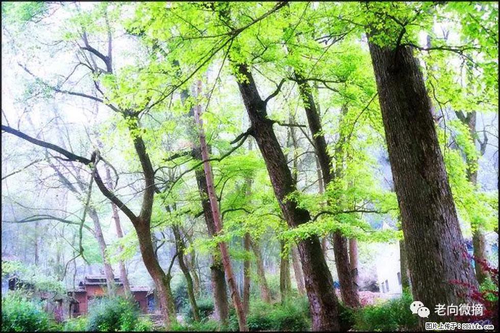 【春天，广西桂林灌阳县向您发出邀请！】在小龙村与春天约会 - 游山玩水 - 通辽生活社区 - 通辽28生活网 tongliao.28life.net