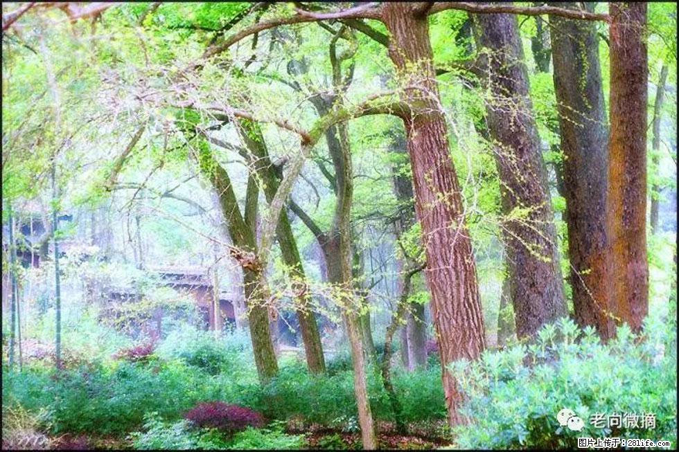 【春天，广西桂林灌阳县向您发出邀请！】在小龙村与春天约会 - 游山玩水 - 通辽生活社区 - 通辽28生活网 tongliao.28life.net
