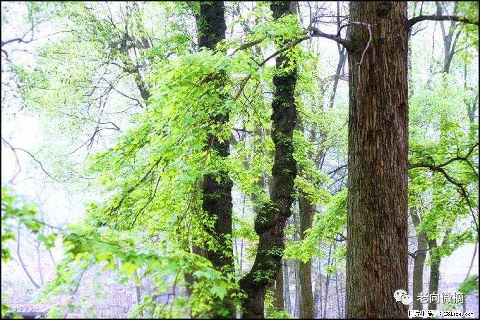 【春天，广西桂林灌阳县向您发出邀请！】在小龙村与春天约会 - 游山玩水 - 通辽生活社区 - 通辽28生活网 tongliao.28life.net