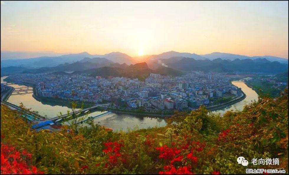 【春天，广西桂林灌阳县向您发出邀请！】登麒麟山，相约映山红 - 游山玩水 - 通辽生活社区 - 通辽28生活网 tongliao.28life.net