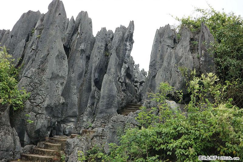 桂林旅游名城景点：灌阳文市石林 - 游山玩水 - 通辽生活社区 - 通辽28生活网 tongliao.28life.net