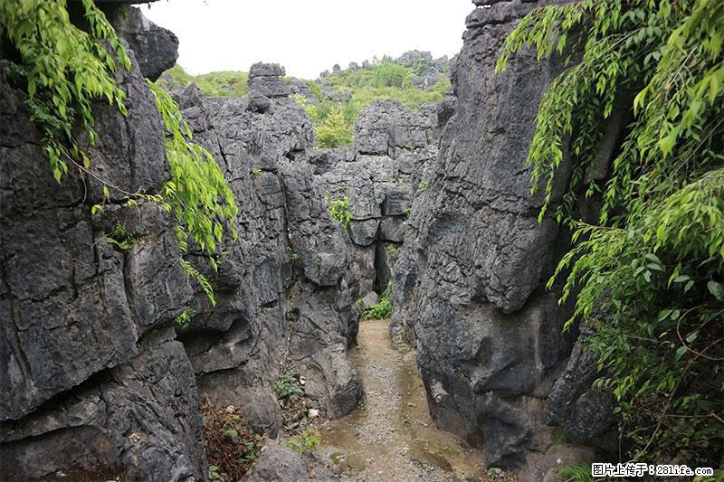 桂林旅游名城景点：灌阳文市石林 - 游山玩水 - 通辽生活社区 - 通辽28生活网 tongliao.28life.net