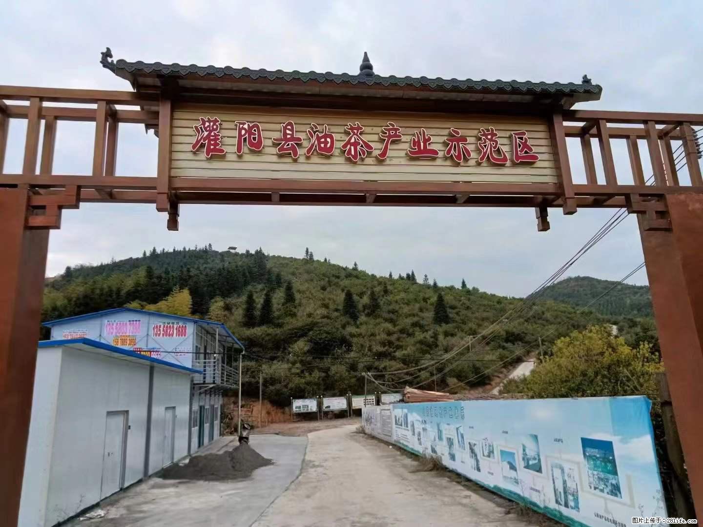 【灌阳县油茶产业示范区】一个有着充实的精神生活的人,对待身外之物自会有一种淡泊的态度 - 美食天地 - 通辽生活社区 - 通辽28生活网 tongliao.28life.net