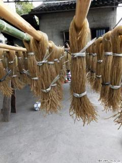 【灌阳正宗红薯粉】美女家里自己做的，干净卫生，假一赔十，价格合理，抢购电话：13737312895 - 通辽28生活网 tongliao.28life.net