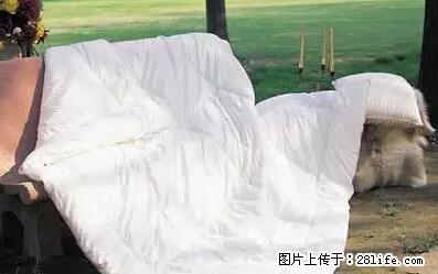 被子有异味？只要这样做，比晒太阳还强100倍！ - 家居生活 - 通辽生活社区 - 通辽28生活网 tongliao.28life.net