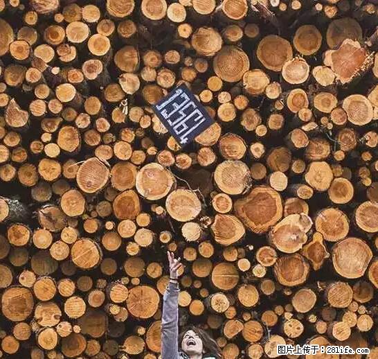 辞掉工作周游世界？现在他们在洗厕所…… - 游山玩水 - 通辽生活社区 - 通辽28生活网 tongliao.28life.net