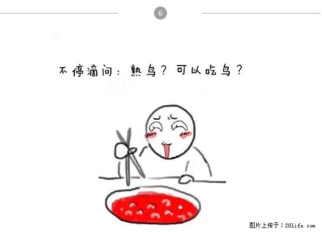 千万不要和这9种哈卵一起吃火锅！ - 美食天地 - 通辽生活社区 - 通辽28生活网 tongliao.28life.net