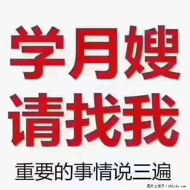 【招聘】月嫂，上海徐汇区 - 职场交流 - 通辽生活社区 - 通辽28生活网 tongliao.28life.net