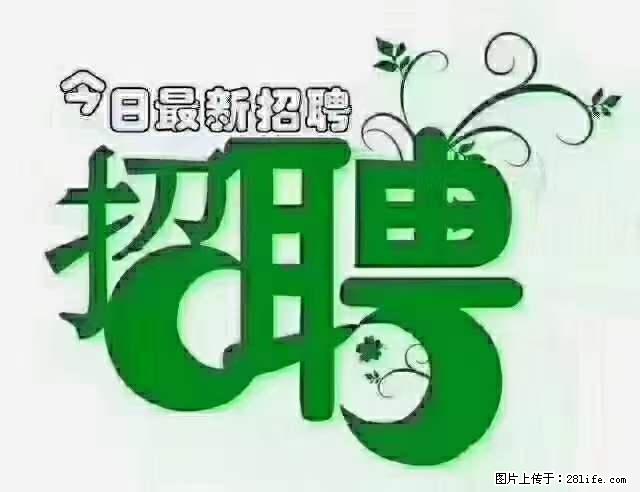 上海隔离酒店招人：55岁以下 男女不限 - 职场交流 - 通辽生活社区 - 通辽28生活网 tongliao.28life.net
