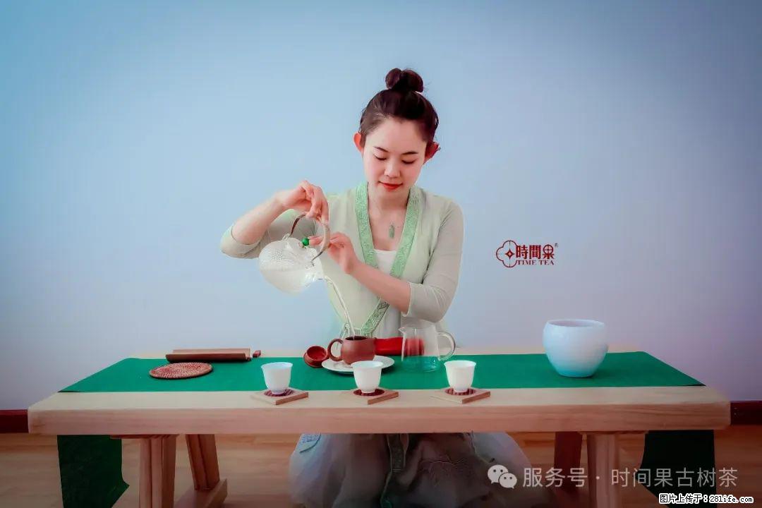 时间果百年古树龙珠普洱生茶 - 购物交流 - 通辽生活社区 - 通辽28生活网 tongliao.28life.net
