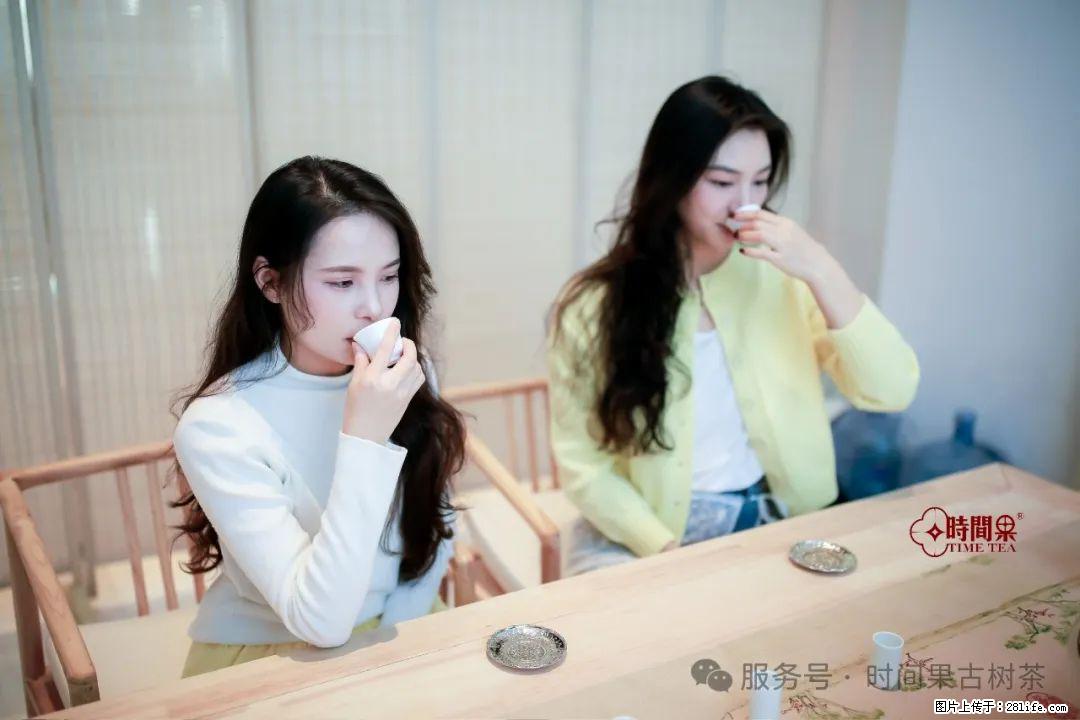 时间果百年古树龙珠普洱生茶 - 购物交流 - 通辽生活社区 - 通辽28生活网 tongliao.28life.net
