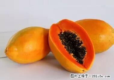 晕车、脚气、牙齿变黄、皮肤粗糙?学会这些三分钟搞定! - 通辽生活资讯 - 通辽28生活网 tongliao.28life.net