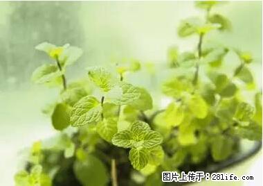 晕车、脚气、牙齿变黄、皮肤粗糙?学会这些三分钟搞定! - 通辽生活资讯 - 通辽28生活网 tongliao.28life.net