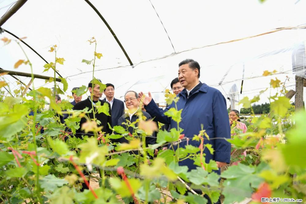 习近平赴广西考察调研 - 通辽生活资讯 - 通辽28生活网 tongliao.28life.net