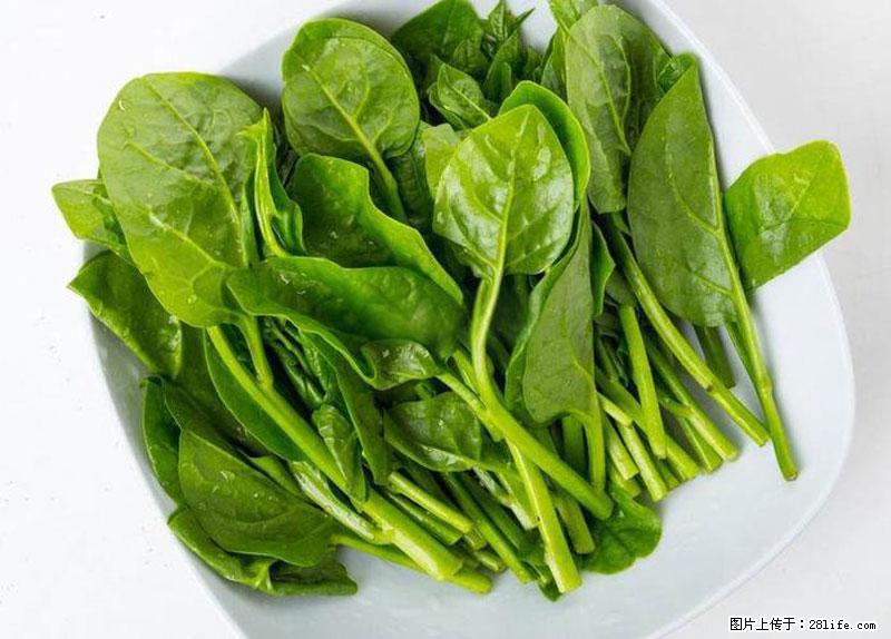 这些蔬菜是“天然钙片”，这6种被医生重点推荐 - 通辽生活资讯 - 通辽28生活网 tongliao.28life.net
