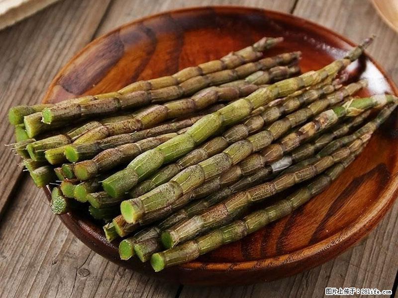 铁皮石斛的作用与功能主治 - 通辽生活资讯 - 通辽28生活网 tongliao.28life.net